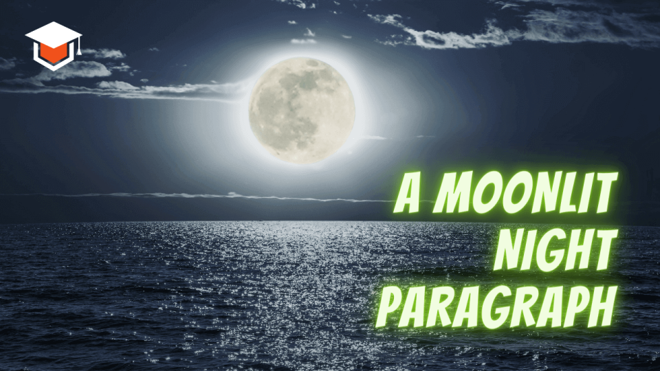 A Moonlit Night Paragraph