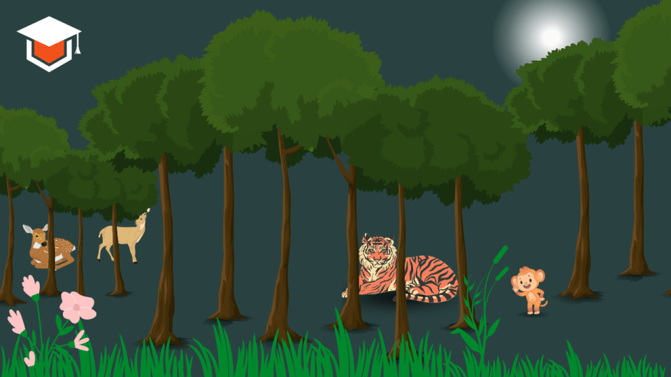 The Sundarbans