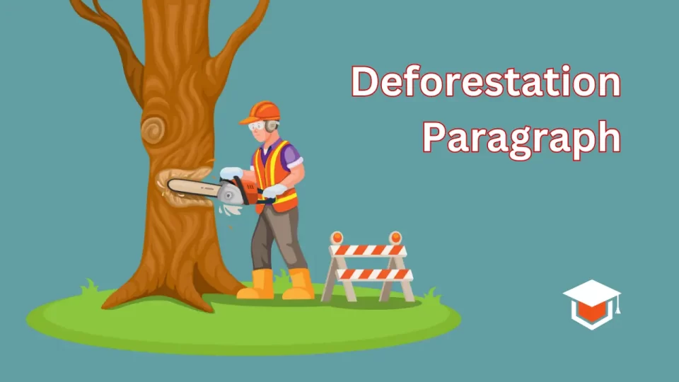 Deforestation Paragraph